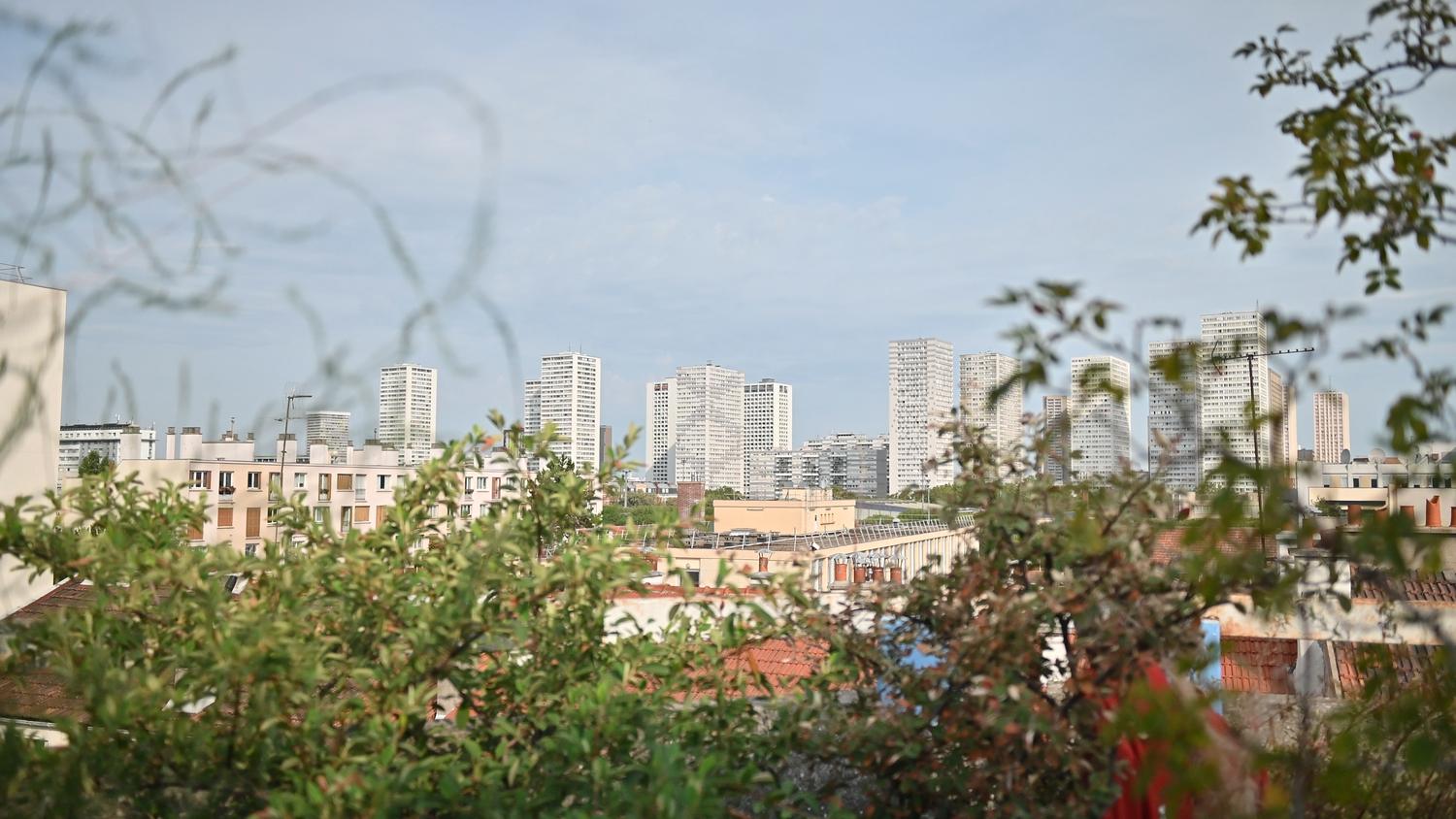 Vue sur les toits et tours à travers les branches